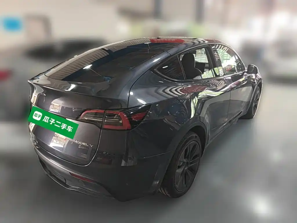 Tesla Model Y — миниатюра 10