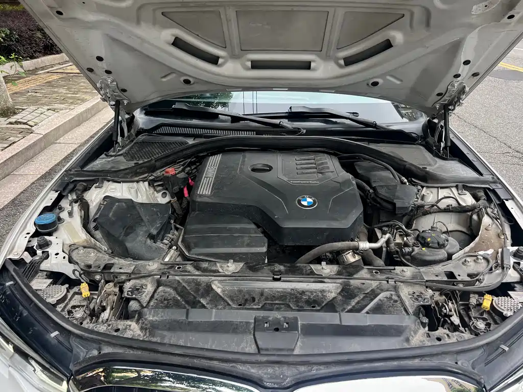 BMW 3 Series 3 2022 320Li M Sport