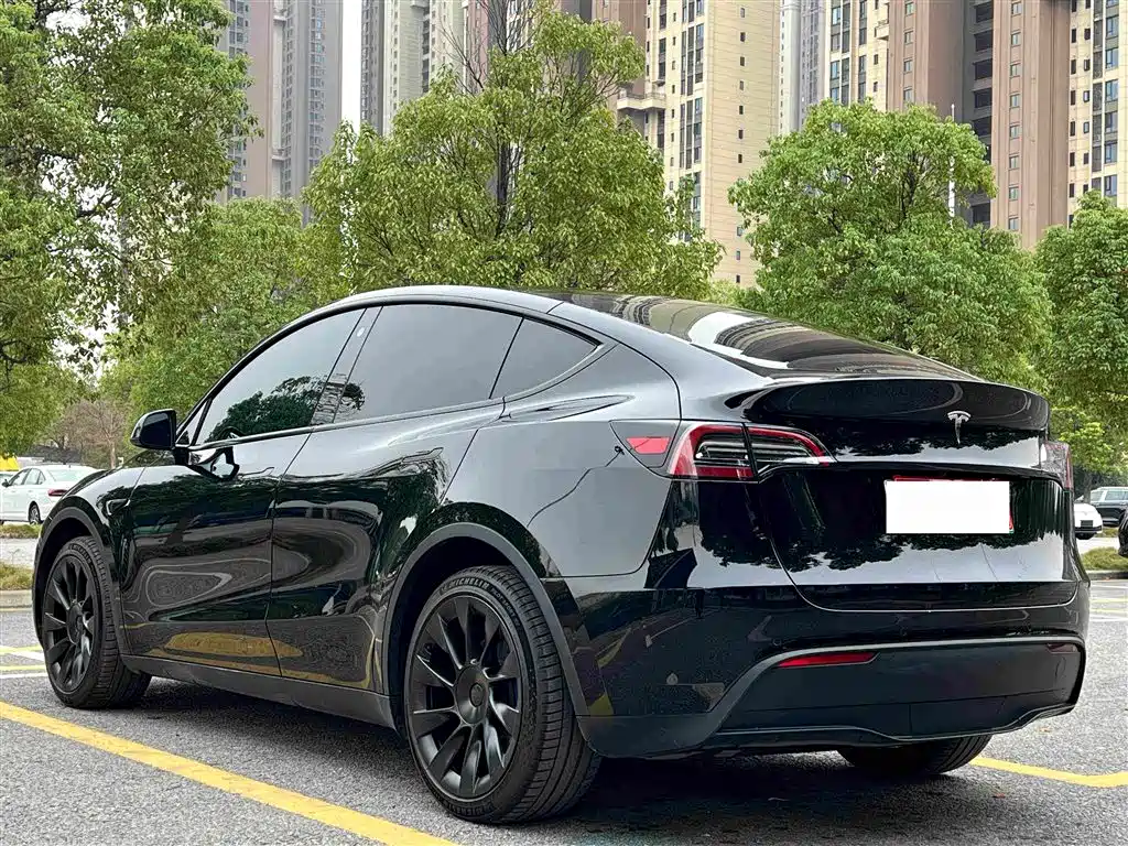 Tesla Model Y — миниатюра 10