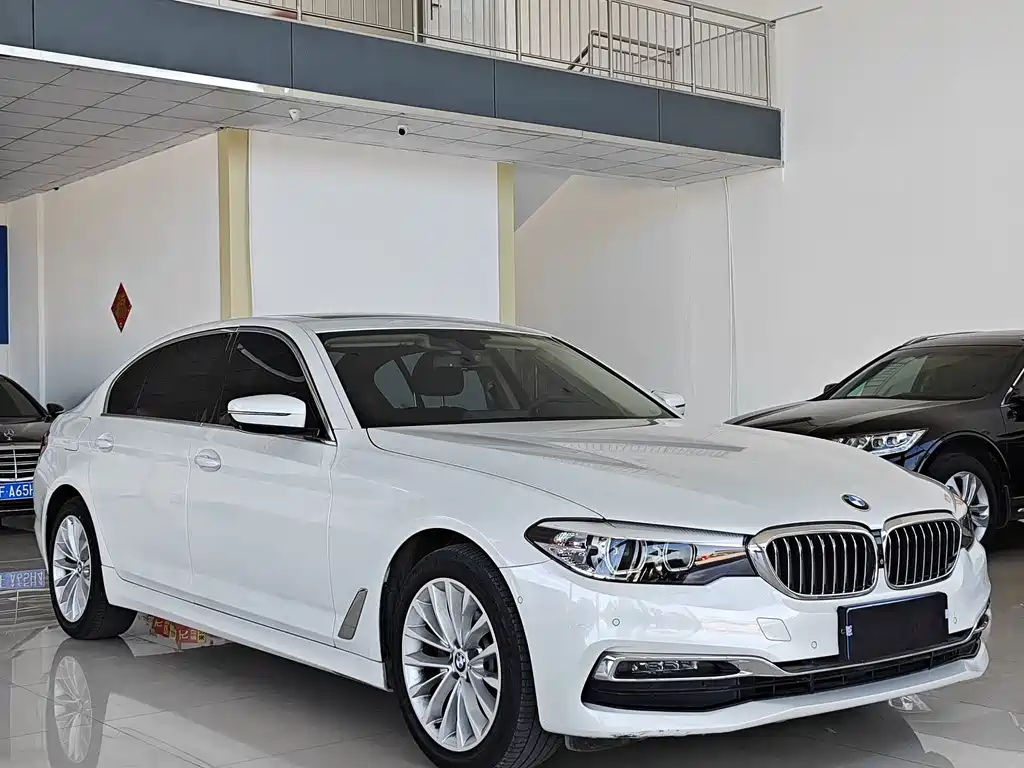 BMW 5 Series 5 2019 525Li Luxury