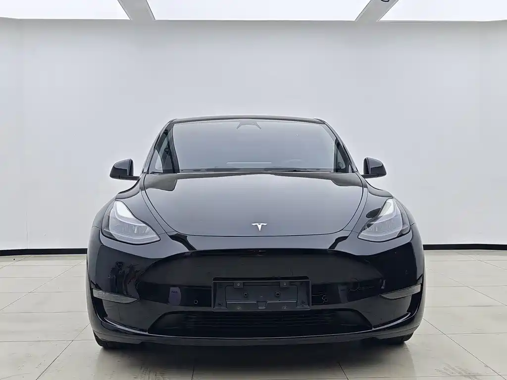 Tesla Model Y — миниатюра 2