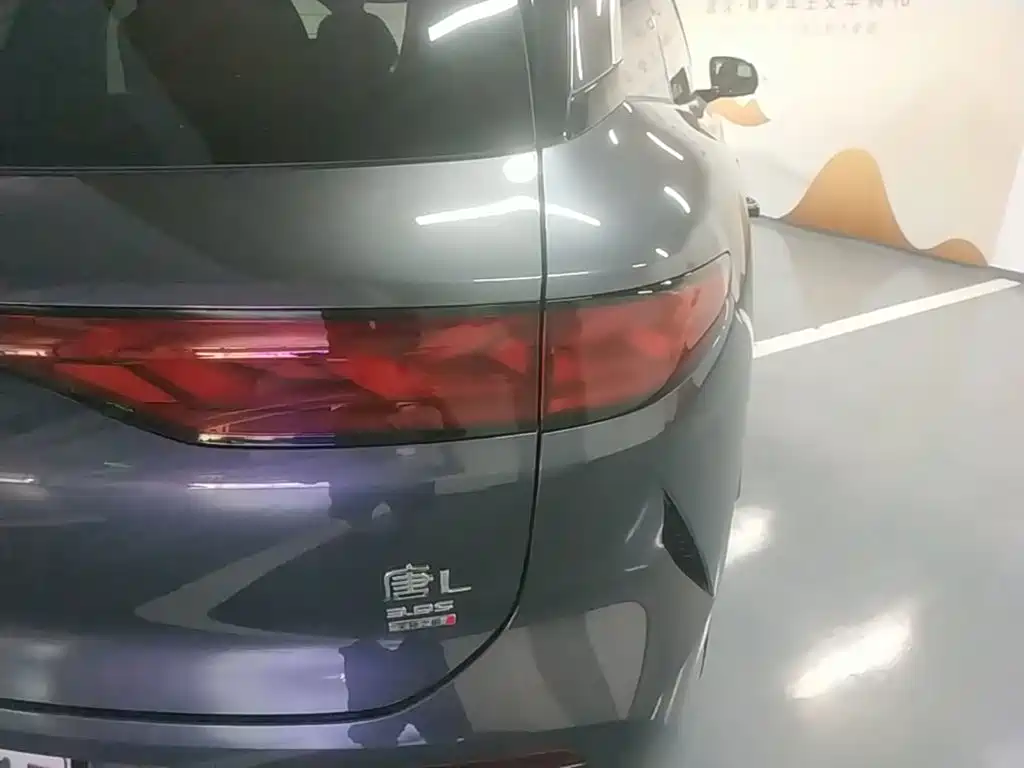 BYD Дон Л. — миниатюра 8