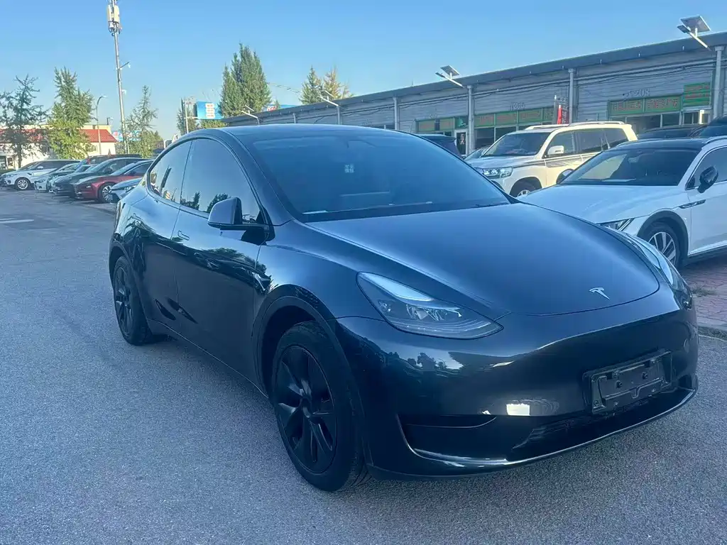 Tesla Model Y — миниатюра 3