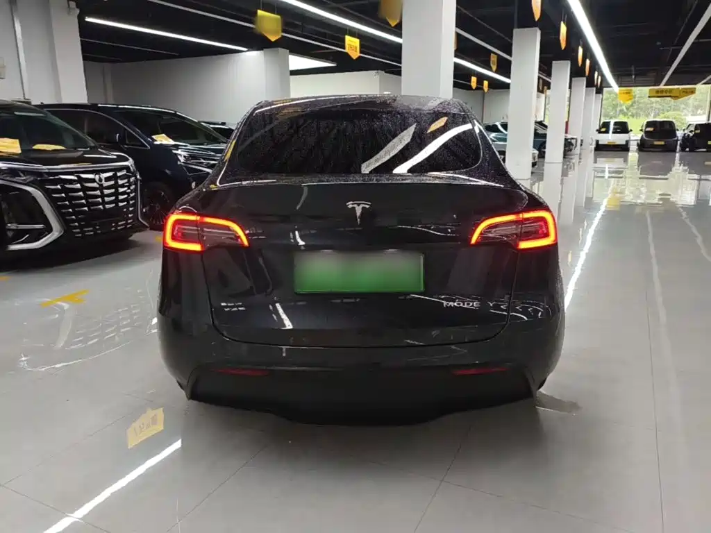 Tesla Model Y — миниатюра 6
