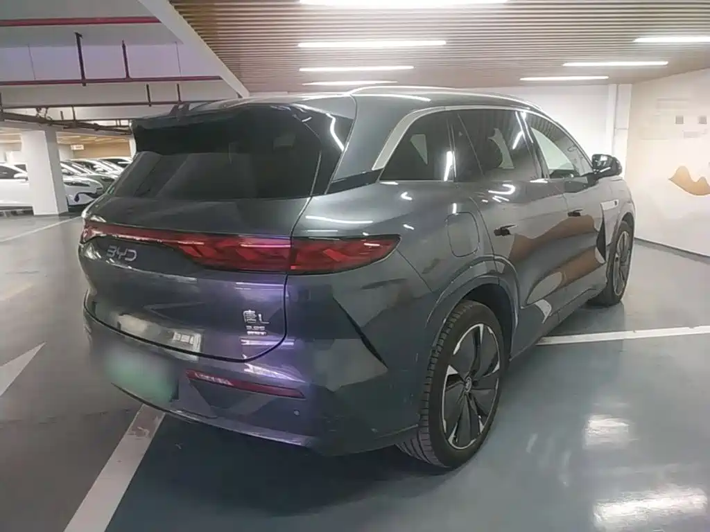 BYD Дон Л. — миниатюра 7