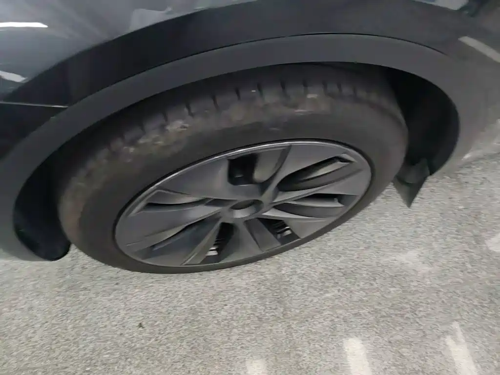 Tesla Model Y — миниатюра 23