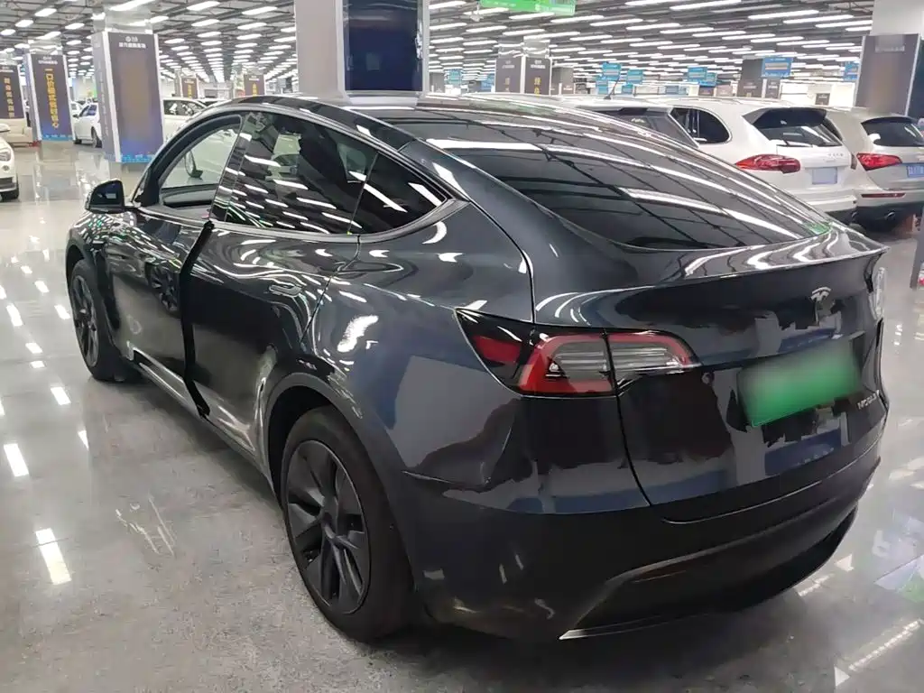Tesla Model Y — миниатюра 5