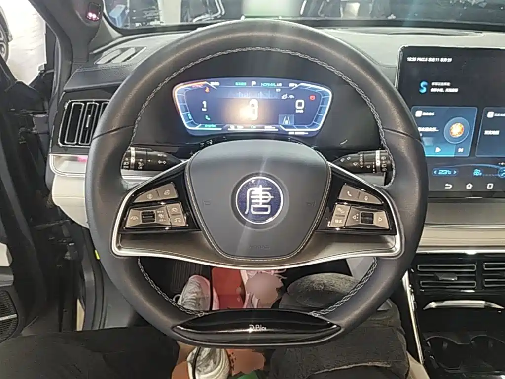 BYD Tang New Energy — миниатюра 11