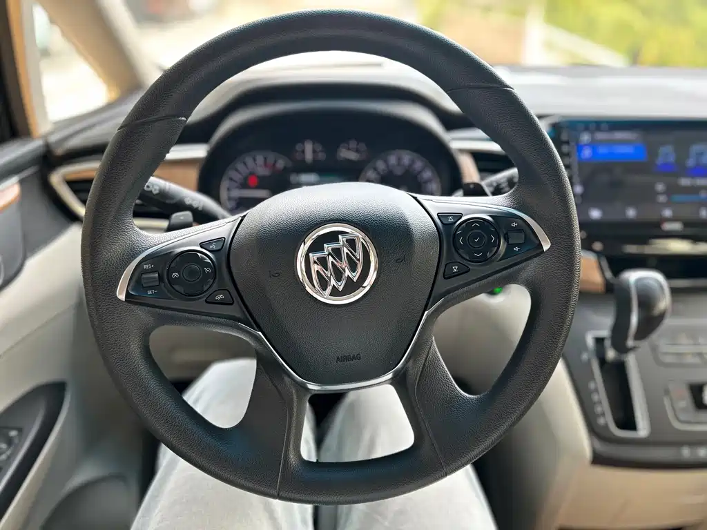 Buick GL8 — миниатюра 10
