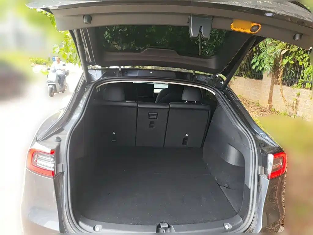 Tesla Model Y — миниатюра 10