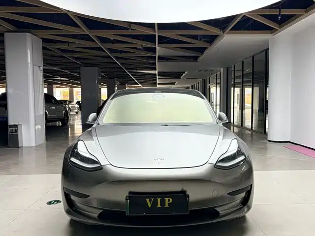 TESLA MODEL 3 2020