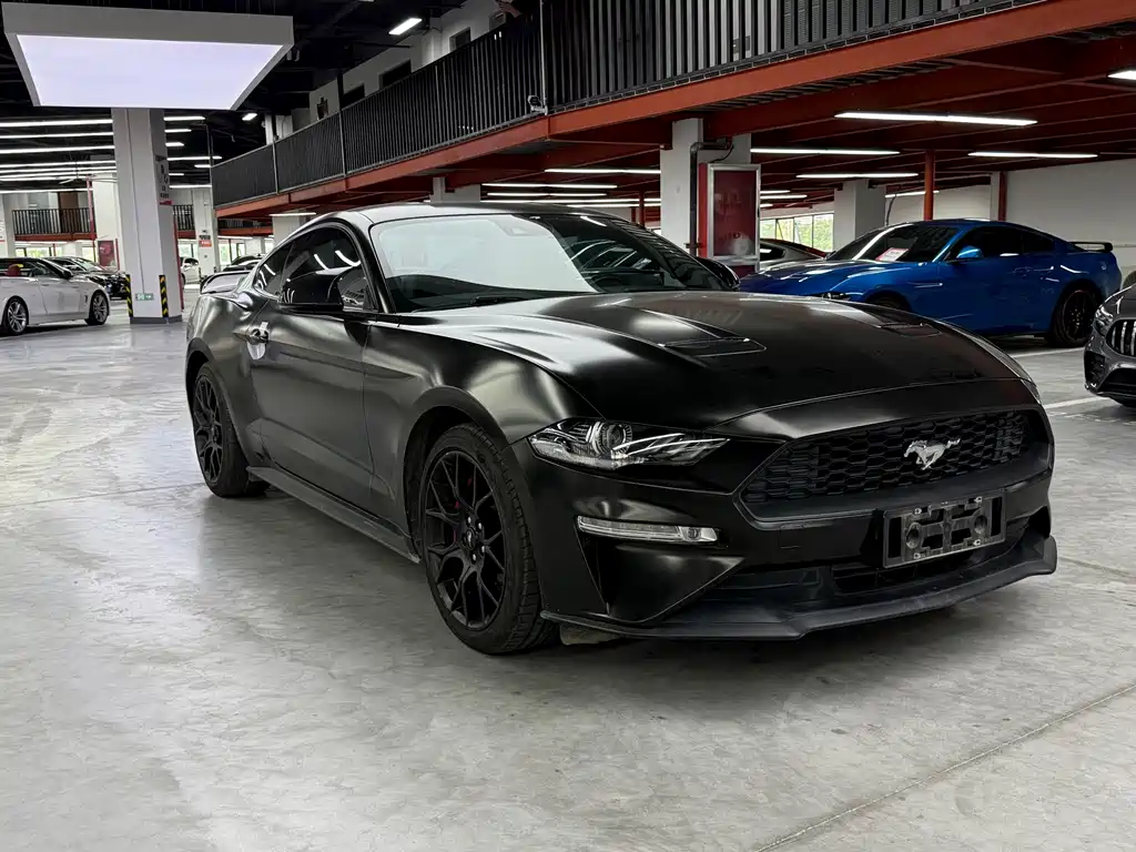Ford Mustang — миниатюра 3
