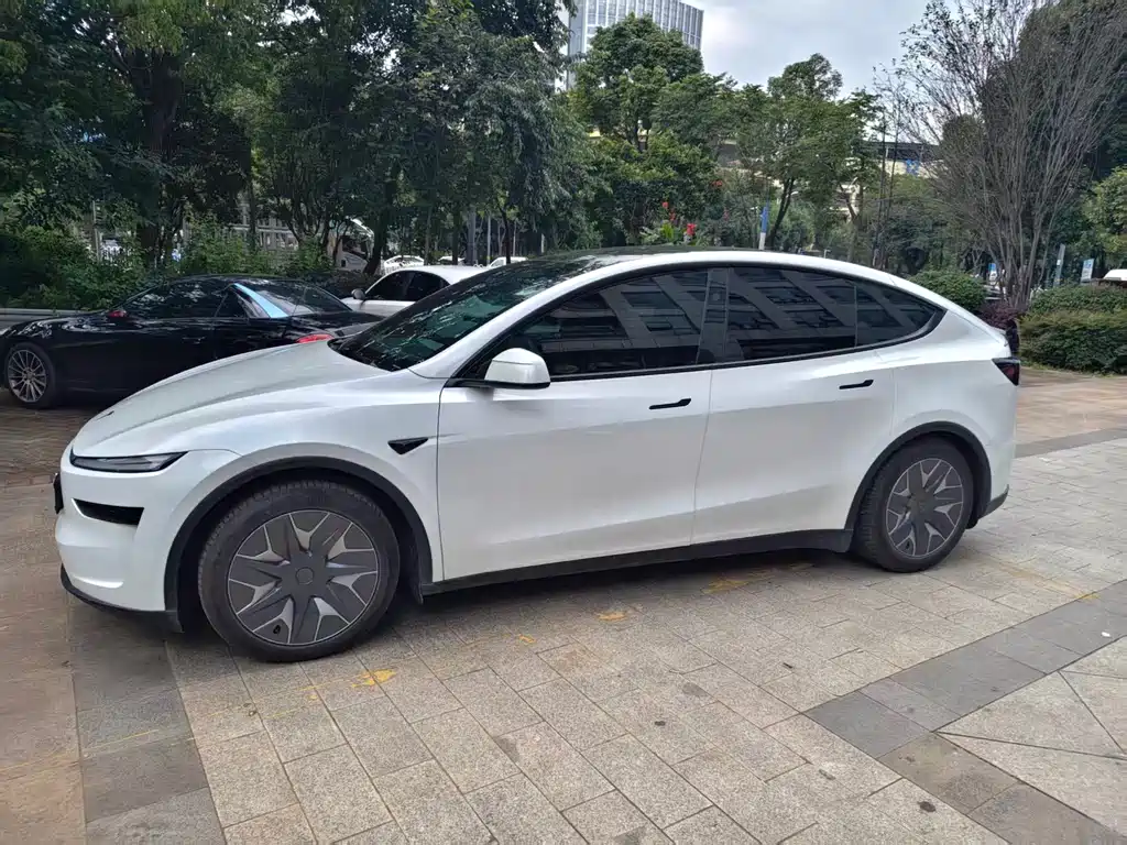 Tesla Model Y L — миниатюра 7