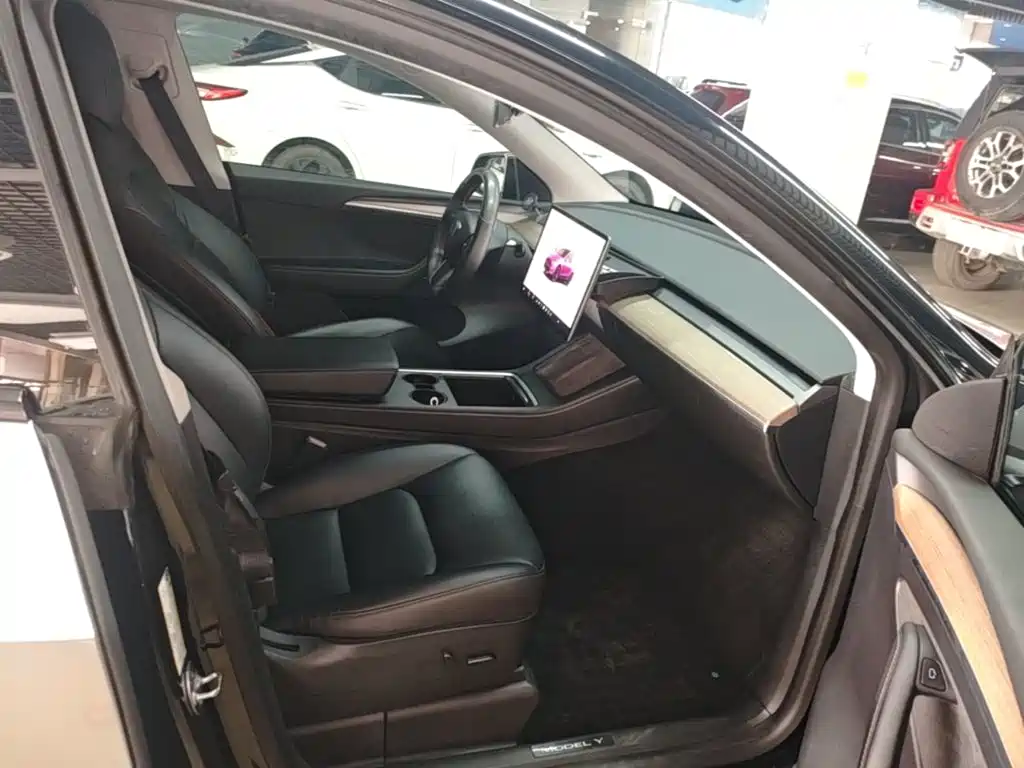 Tesla Model Y — миниатюра 25