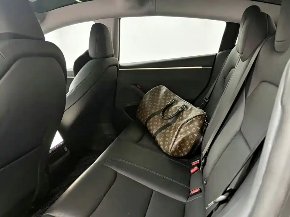 Tesla Model 3 — миниатюра 6