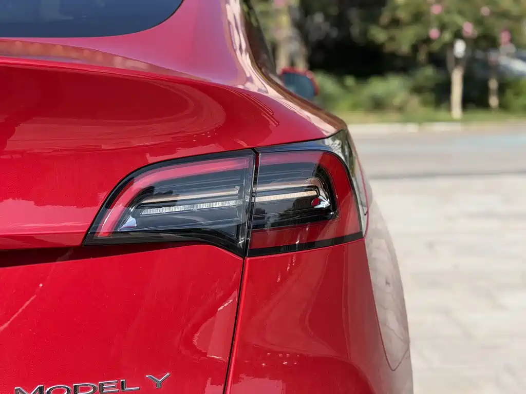 Tesla Model Y — миниатюра 10
