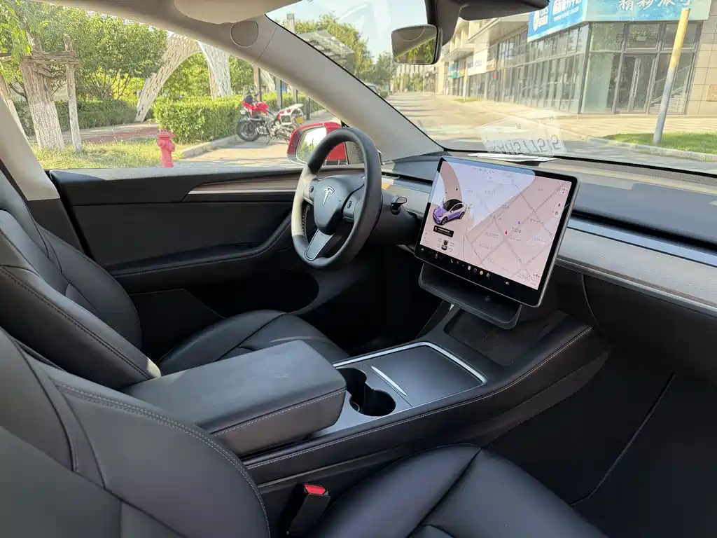 Tesla Model Y — миниатюра 23