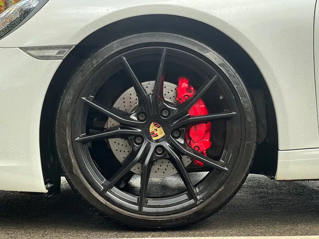 Porsche 911 — миниатюра 8