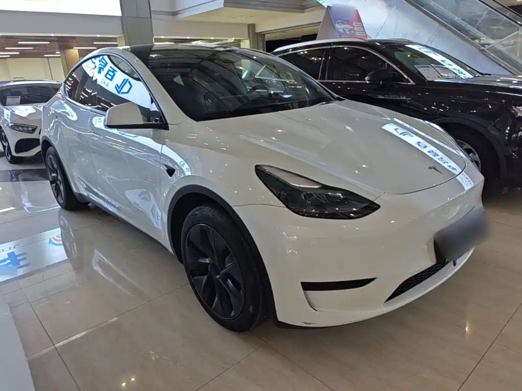 Tesla Model Y — миниатюра 4