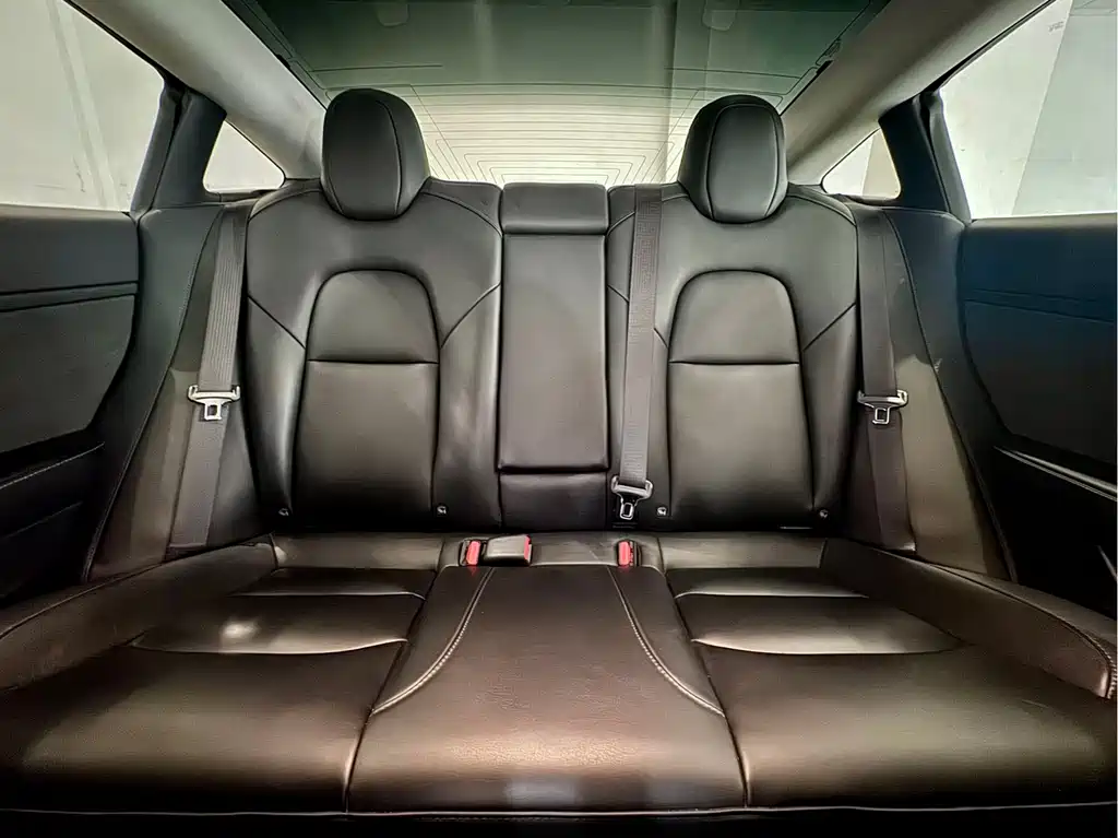 Tesla Model 3 — миниатюра 9