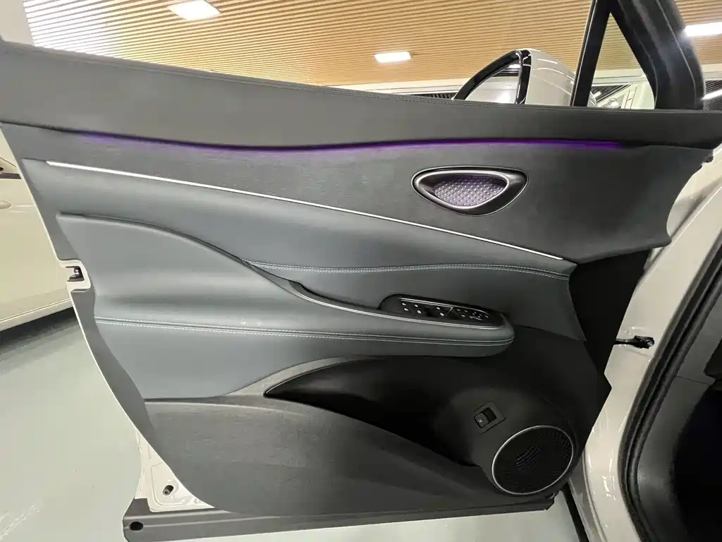 BYD Sealion 07 DM-i — миниатюра 14