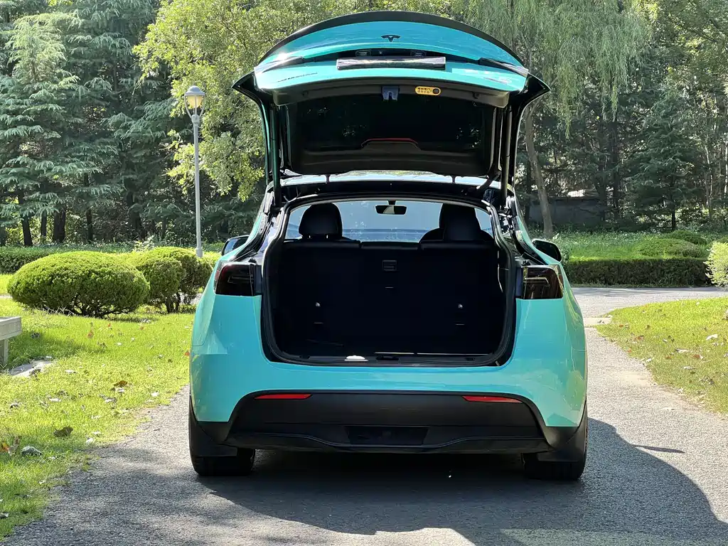 Tesla Model Y — миниатюра 14