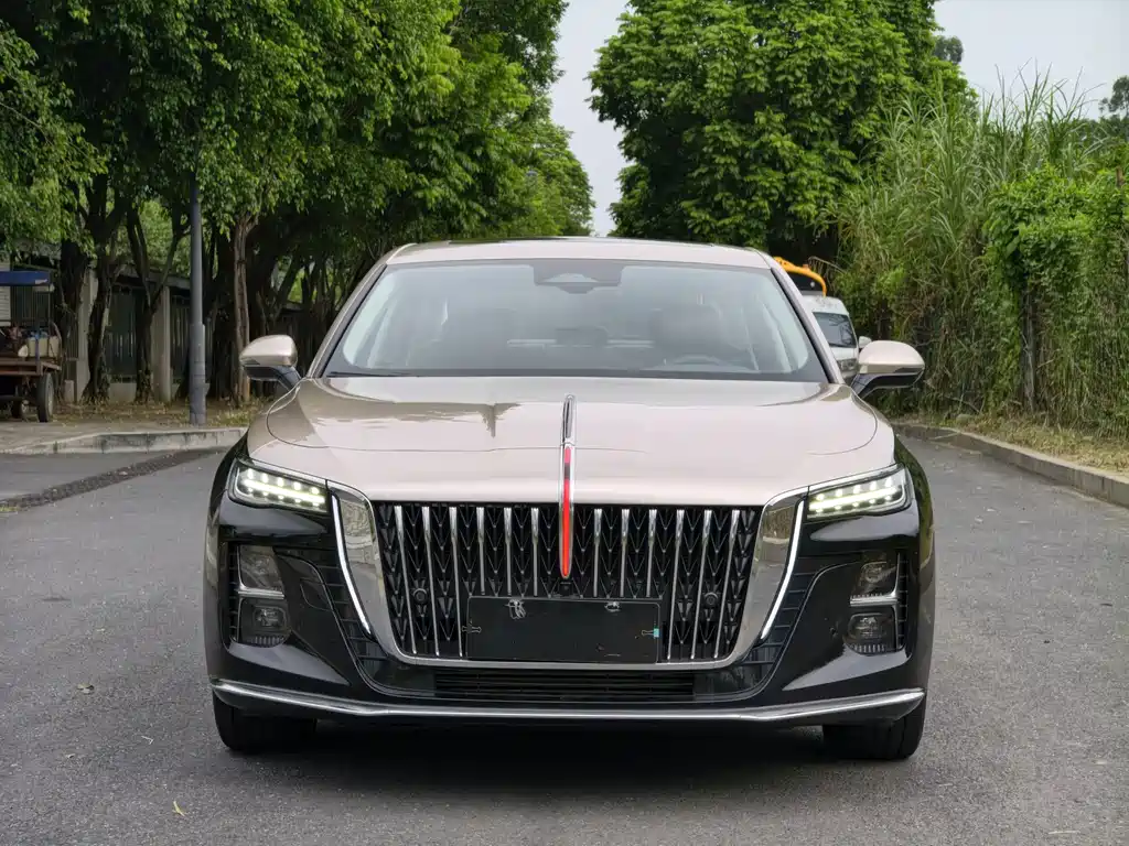 Hongqi Hongqi H5 — миниатюра 2