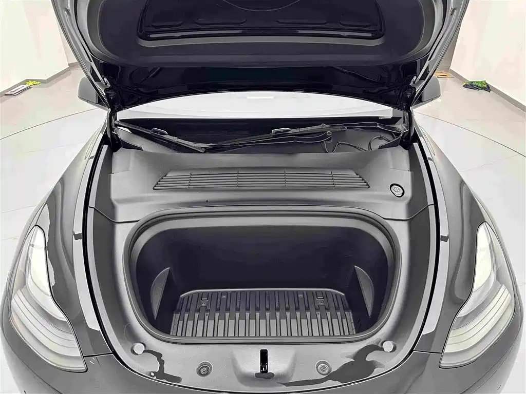 Tesla Model Y — миниатюра 26