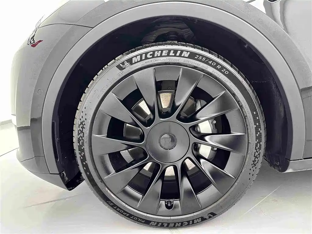 Tesla Model Y — миниатюра 29