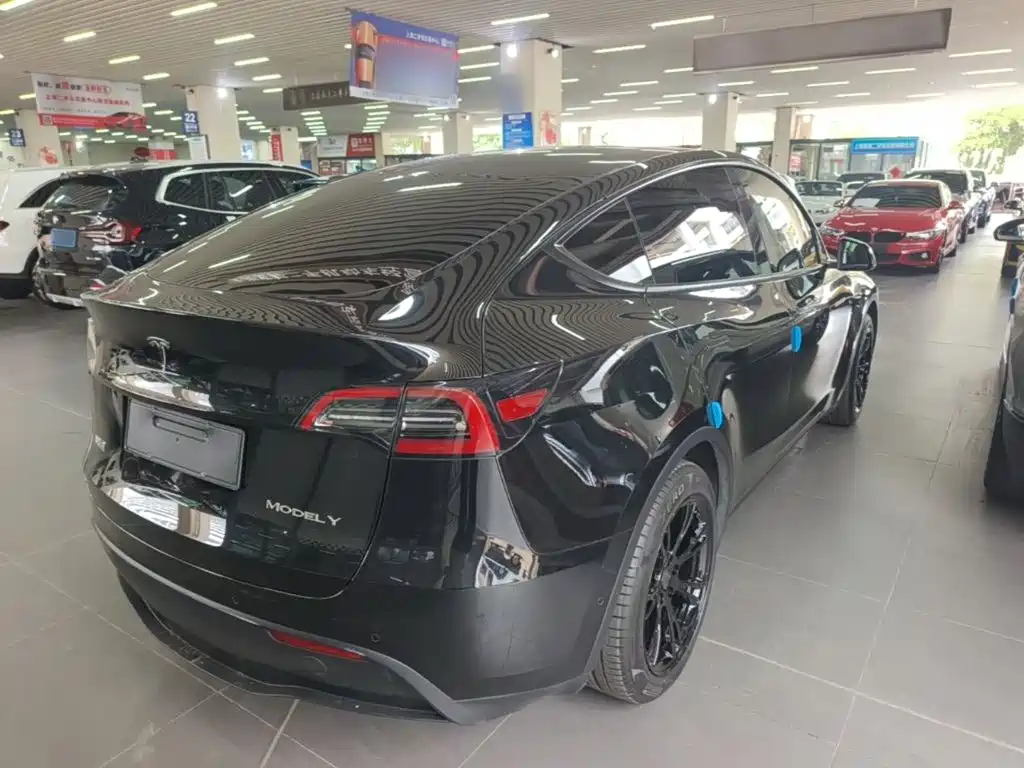 Tesla Model Y — миниатюра 7