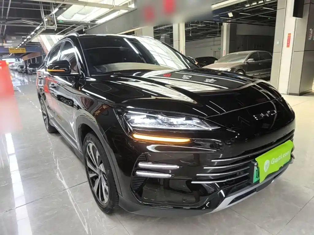BYD PLUS New Energy — миниатюра 4