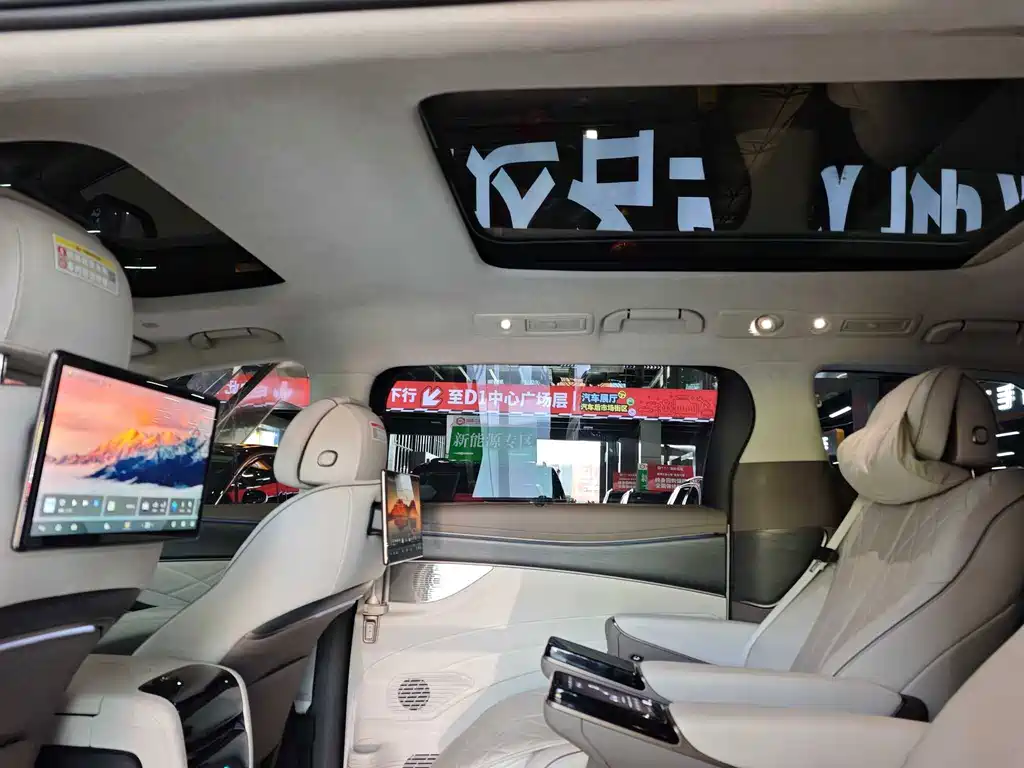 Denza Denza D9 — миниатюра 11