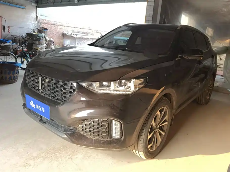 Купить Wey Wey VV6