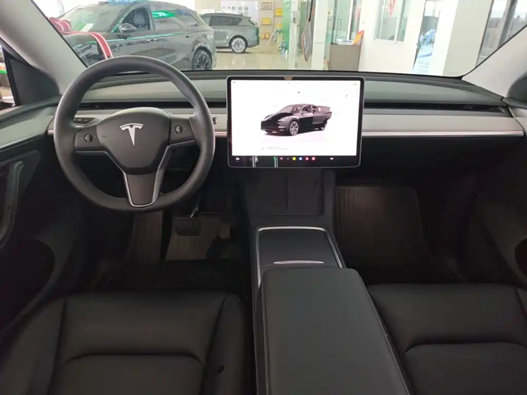 Tesla Model Y — миниатюра 10
