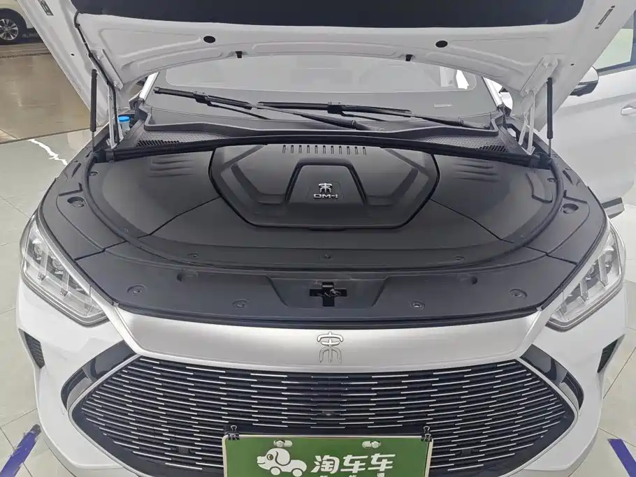 BYD PLUS New Energy — миниатюра 10