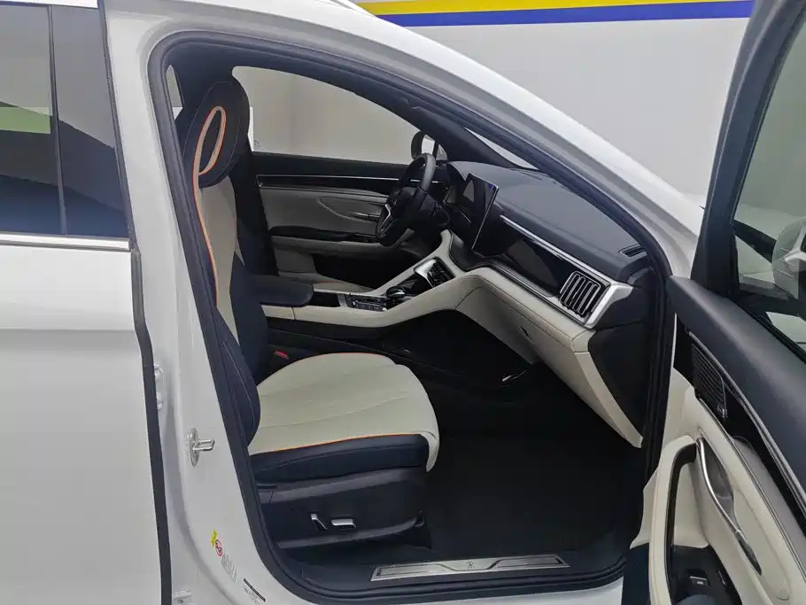 BYD PLUS New Energy — миниатюра 8