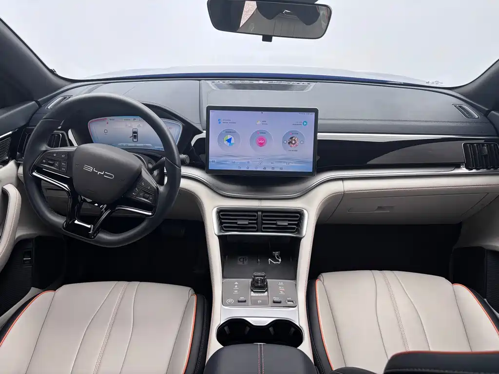 BYD PLUS New Energy — миниатюра 12