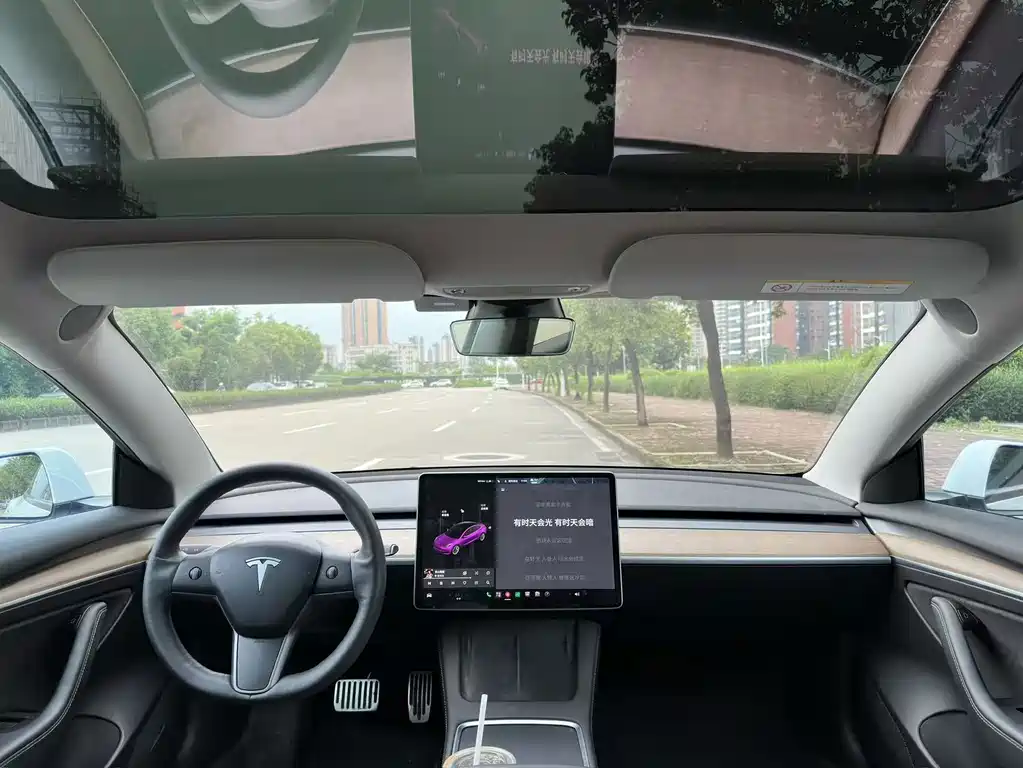 Tesla Model 3 — миниатюра 4