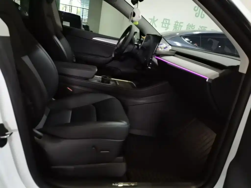 Tesla Model Y — миниатюра 25