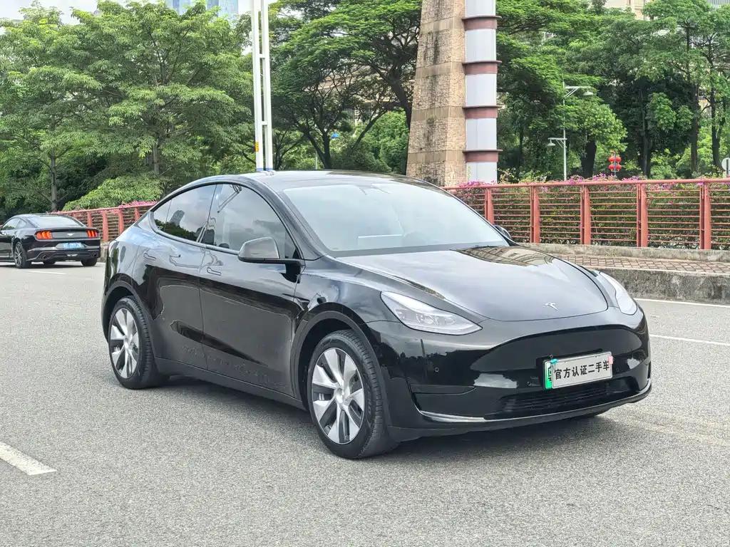 Tesla Model Y — миниатюра 3
