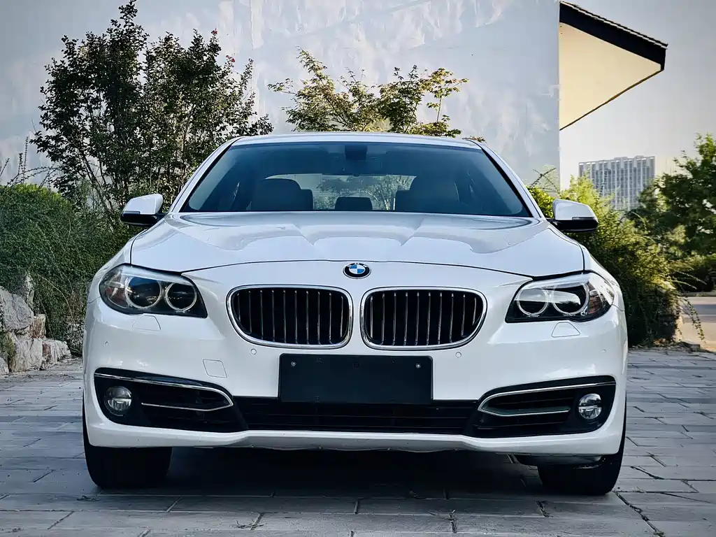 BMW 5 Series — миниатюра 2