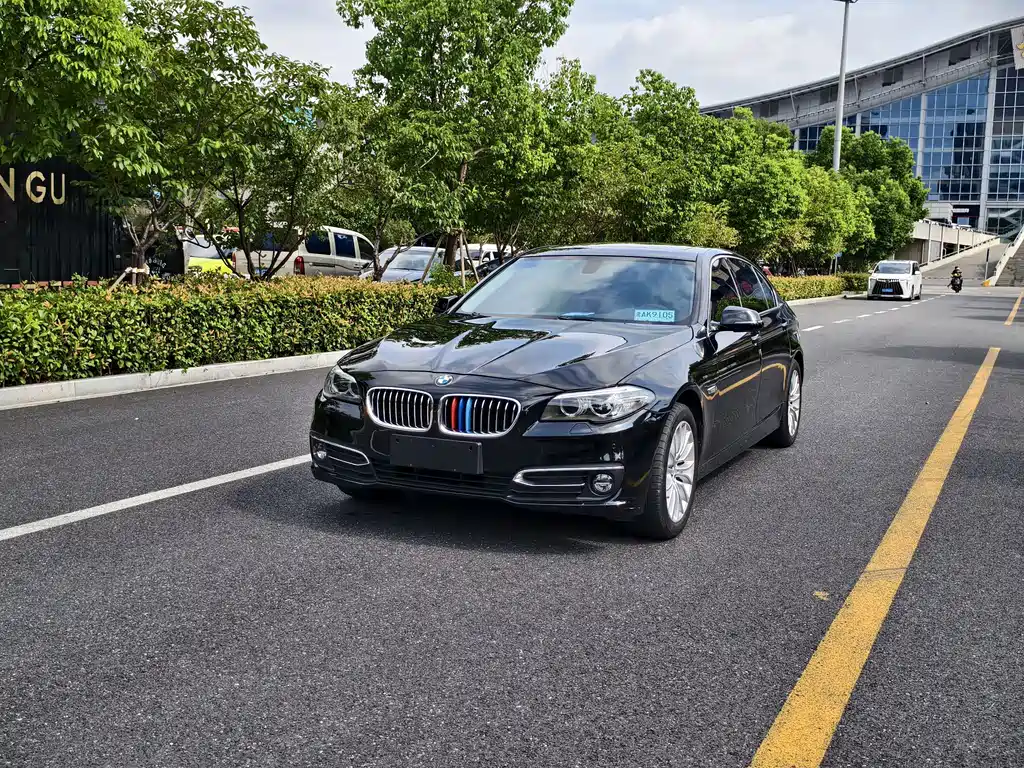 BMW 5 Series New Energy