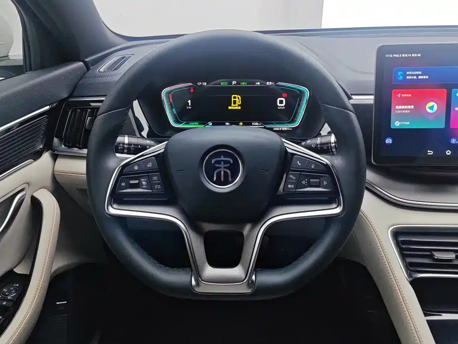 BYD PLUS New Energy — миниатюра 15