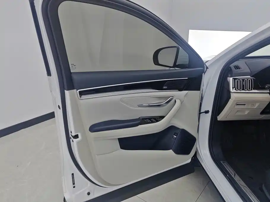 BYD PLUS New Energy — миниатюра 7