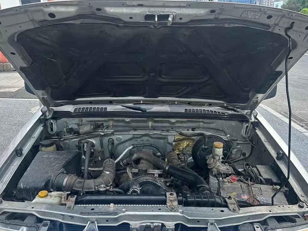 Dongfeng Rich — миниатюра 4