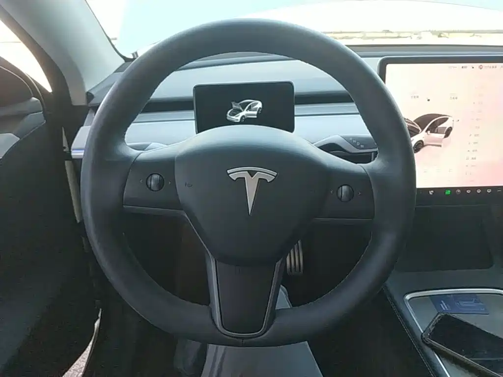 Tesla Model Y — миниатюра 11