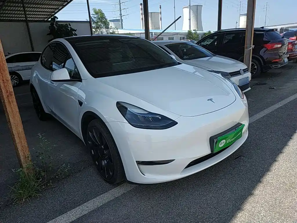 Tesla Model Y — миниатюра 4
