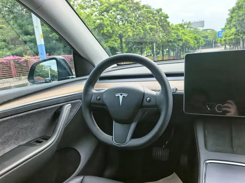 Tesla Model Y — миниатюра 7