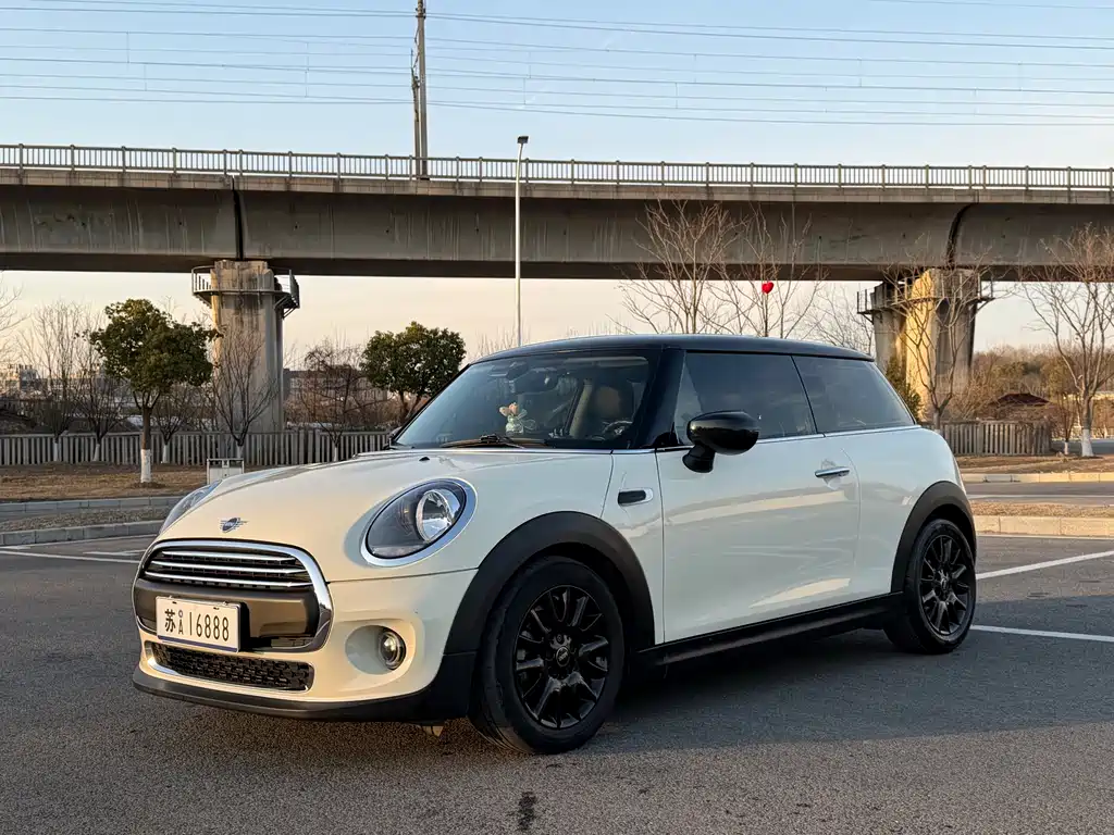 Mini Mini 2020