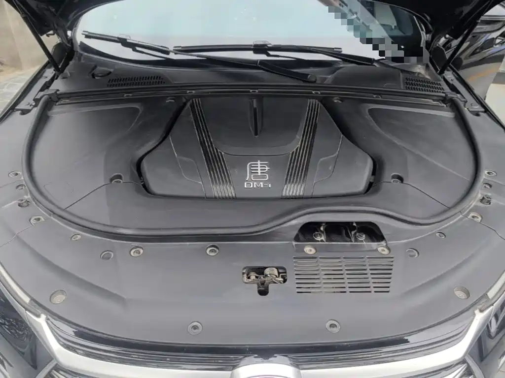 BYD Tang New Energy — миниатюра 16